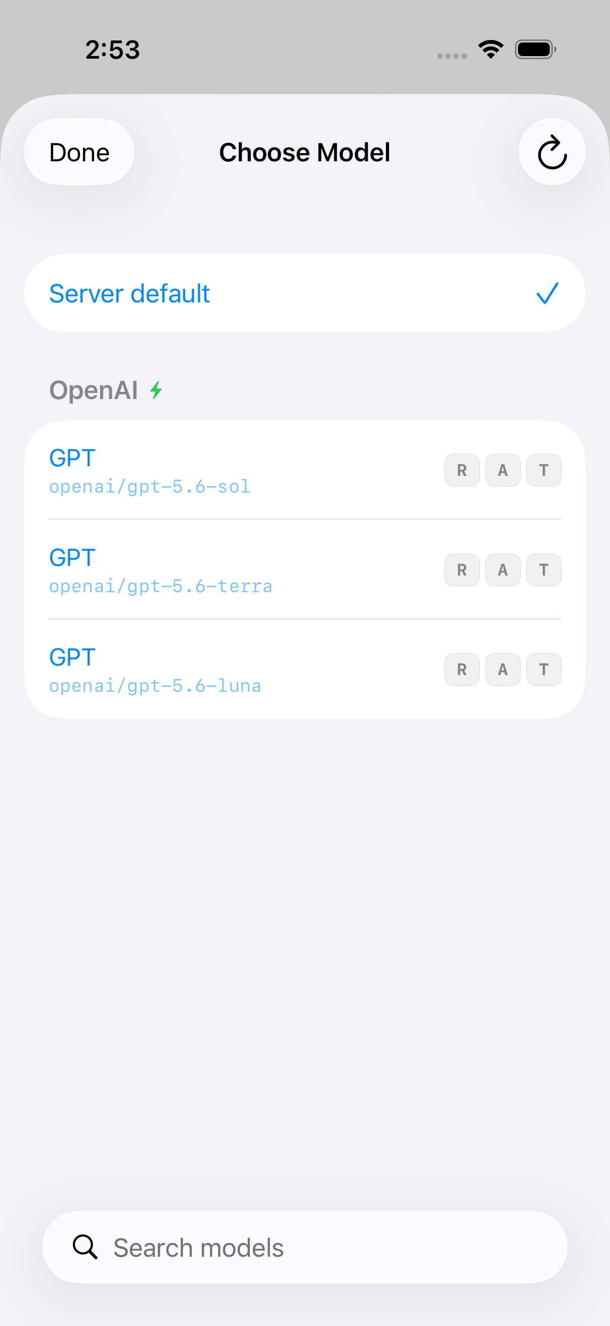 Agent Coder development build showing its model picker with server default and available provider models